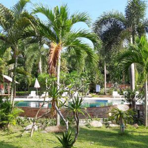 BaanSaensook-Villas-tropical-garden-Koh-Samui-Thailand